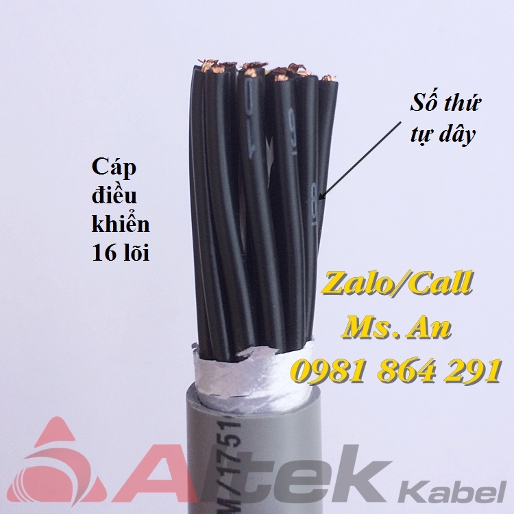 C&aacute;p điều khiển 16 l&otilde;i ch&iacute;nh h&atilde;ng Altek Kabel sẵn kho